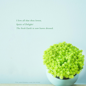 欧美成人vvvvvv影片
